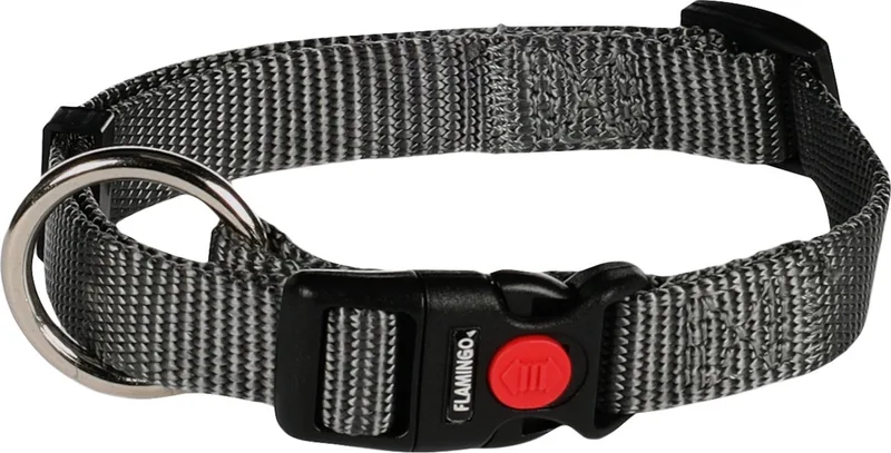 Ziggi - Halsband Honden - Halsband Ziggi Donkergrijs S 30-45cm 15mm - 1st - 134638 - 1st von Flamingo in Grau – Produktfoto
