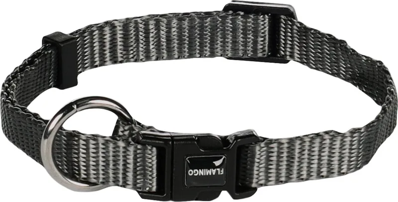 Ziggi - Halsband Honden - Halsband Ziggi Donkergrijs Xs 20-35cm 10mm - 1st - 134632 - 1st von Flamingo in Grau – Produktfoto