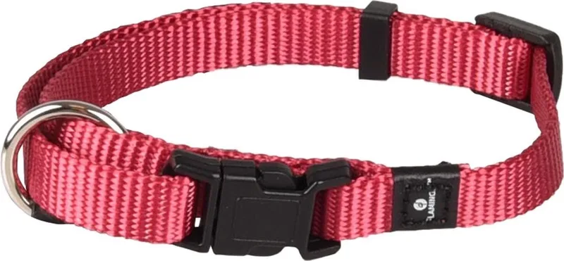 Ziggi - Halsband Honden - Halsband Ziggi Kersenrood M 40-55cm 20mm - 1st - 127478 - 1st von Flamingo in Rot – Produktfoto