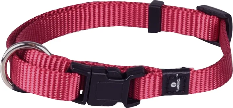 Ziggi - Halsband Honden - Halsband Ziggi Kersenrood Xs 20-35cm 10mm - 1st - 127482 - 1st de Flamingo en Rouge – photo produit