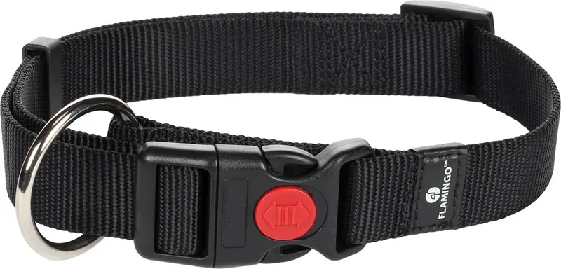 Ziggi - Halsband Honden - Halsband Ziggi L 45-65cm 25mm - 1st - 124759 - 1st by Flamingo in Black – product photo