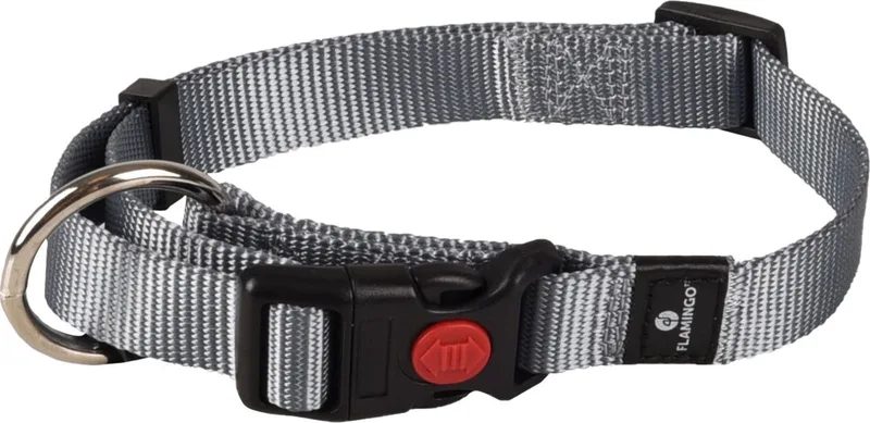 Ziggi - Halsband Honden - Halsband Ziggi M 40-55cm 20mm - 1st - 127417 - 1st von Flamingo in Grau – Produktfoto