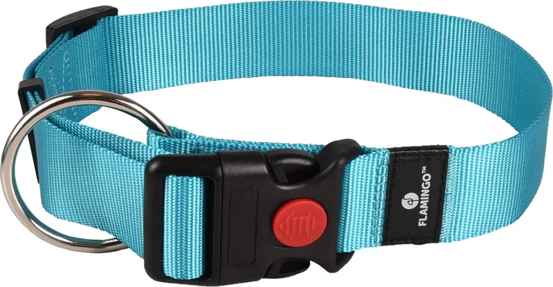 Ziggi - Halsband Honden - Halsband Ziggi Turquoise Xl 55-75cm 40mm - 1st - 127576 - 1st de Flamingo en Bleu – photo produit
