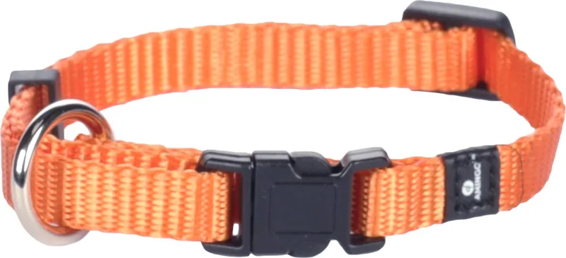 Ziggi - Halsband Honden - Halsband Ziggi Xs 20-35cm 10mm - 1st - 124783 - 1st by Flamingo in Orange – product photo