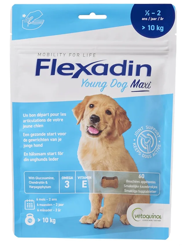 Young Dog Maxi Chews