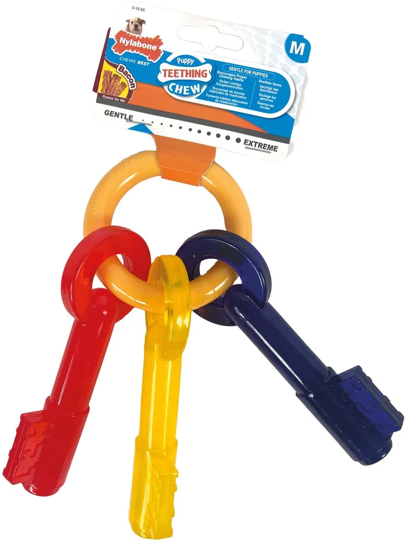 Nylabone Welpenzahnspielzeug Schlüssel von flexi in Mehrfarbig – Produktfoto