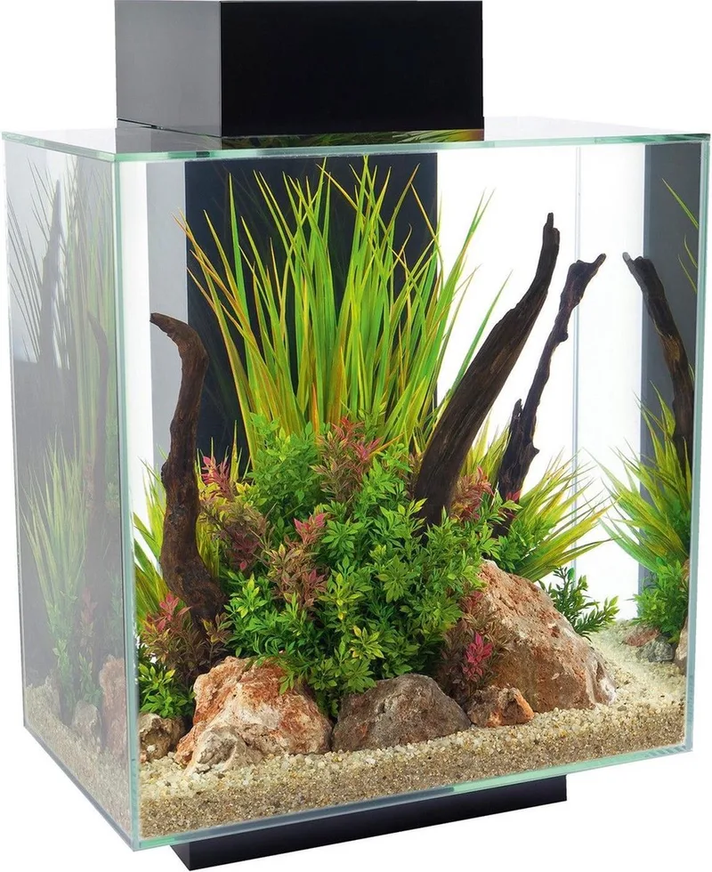 Edge Aquarium II 2.0 46 Liter von Fluval in Schwarz – Produktfoto