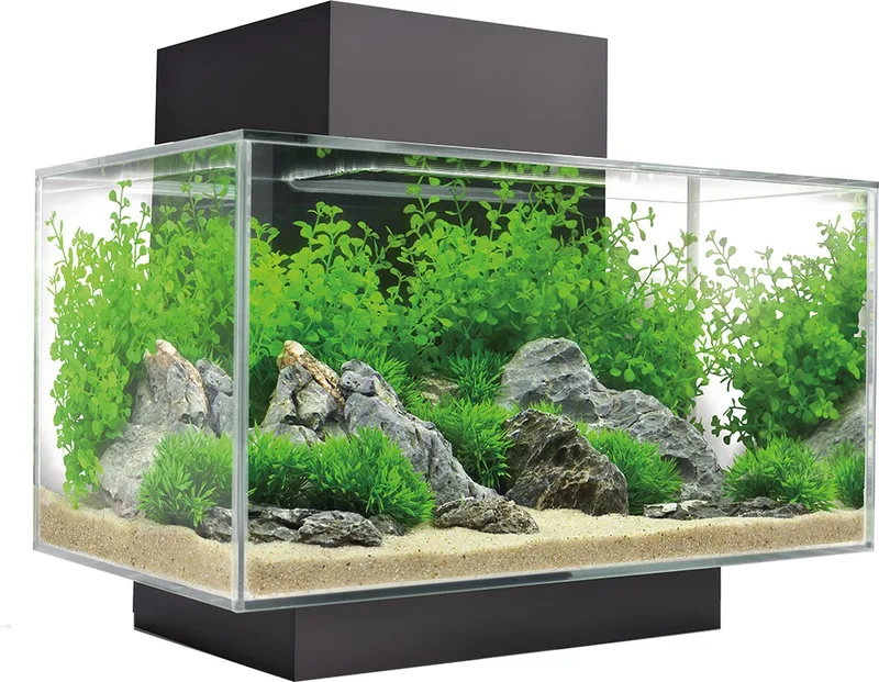 Edge I 2.0 aquarium - 23L de Fluval en Noir – photo produit