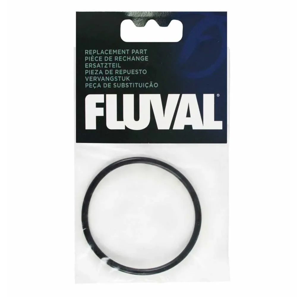 Joint Torique De Moteur Fx2 de Fluval – photo produit