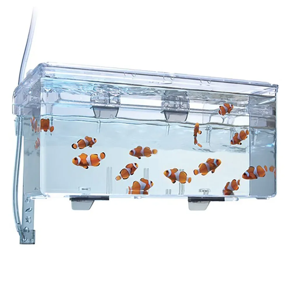 Zuchtkasten 2l von Fluval – Produktfoto