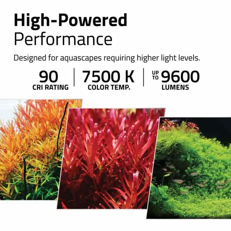 Led Plant Pro 4.0 38w Aquariumverlichting by Fluval – product photo 5 of 6