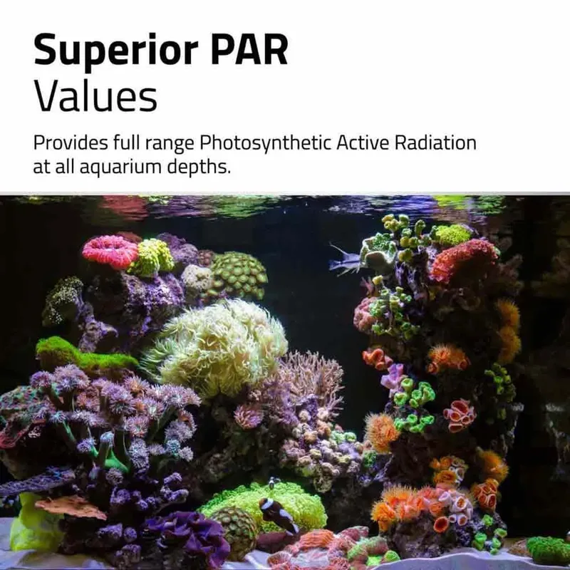 Led Reef 4.0 Bt Mesh 32w Aquariumverlichting de Fluval – photo produit 6 sur 6