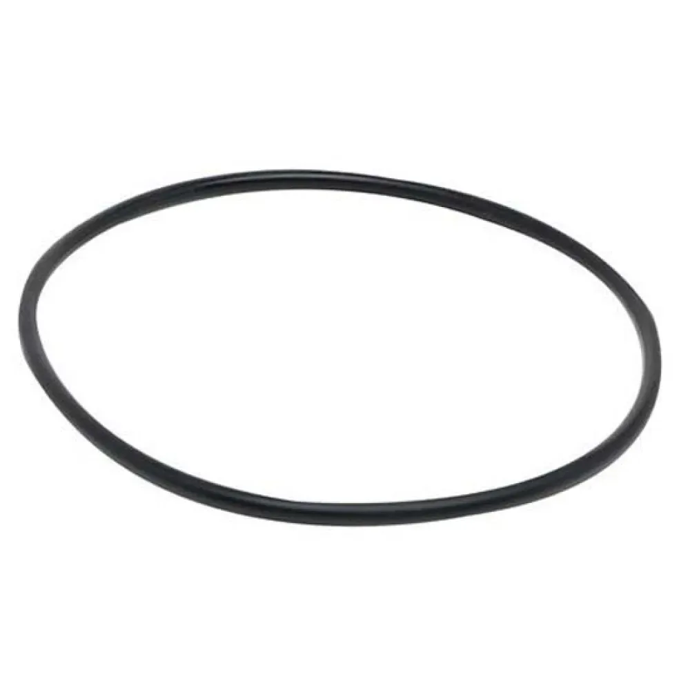 O-ring 107 207 Kopje von Fluval – Produktfoto