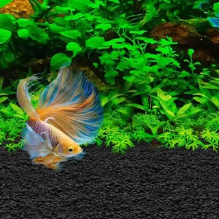 Substrat D´aquarium Betta Stratum 800g von Fluval – Produktfoto 2 von 4