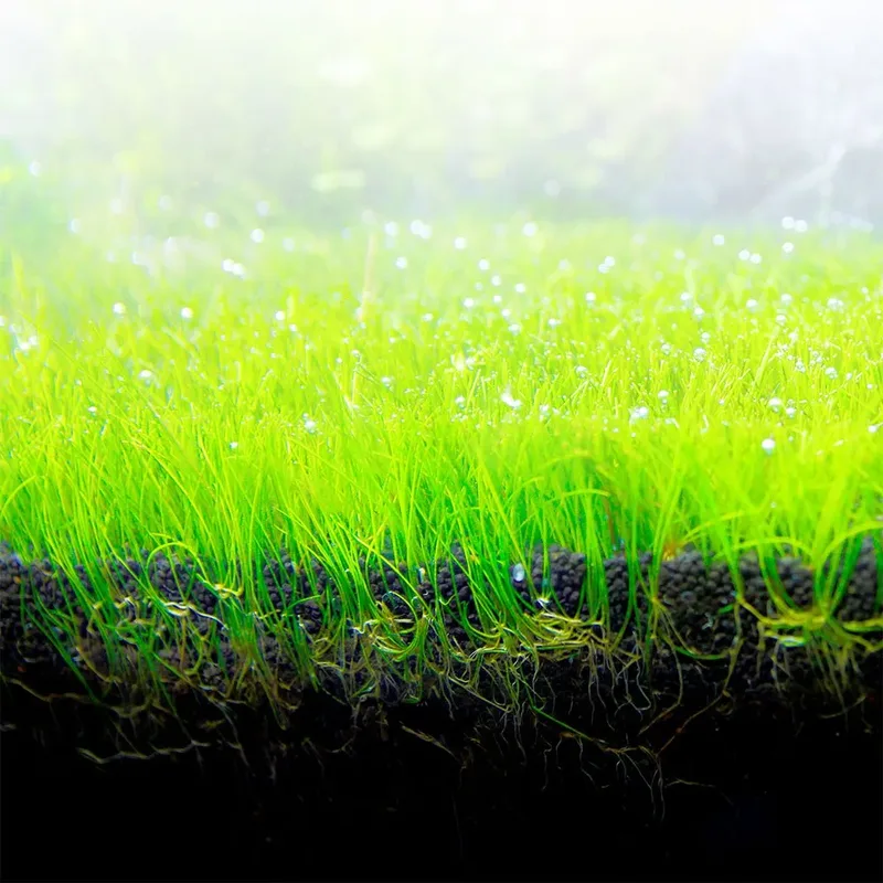 Substrat D´aquarium Bio Stratum 2kg fra Fluval – produktbillede 3 af 4