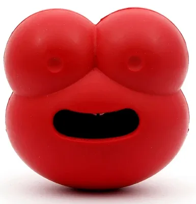 Robert