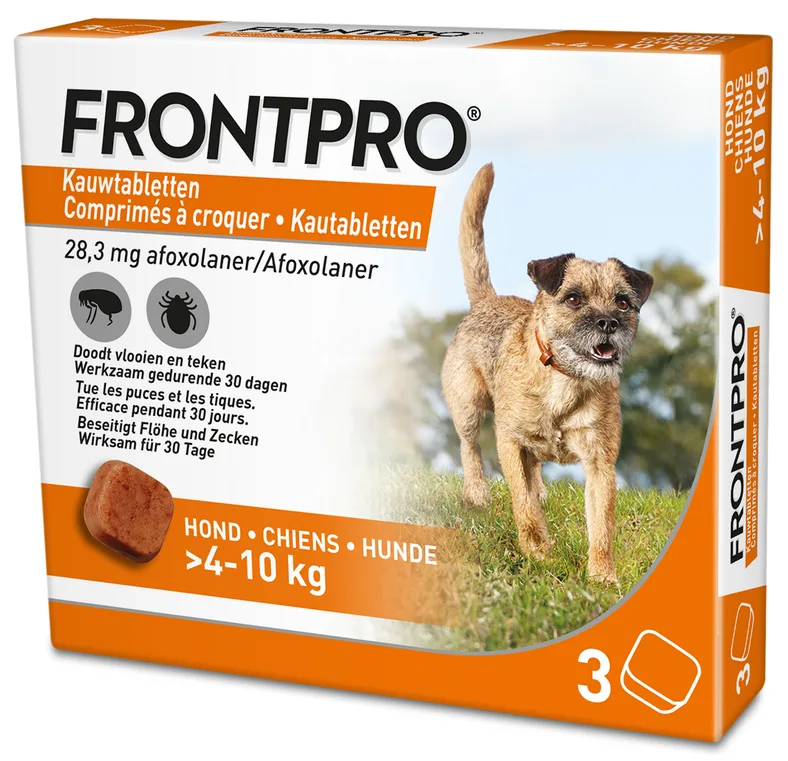 Hond M van Frontpro – productfoto