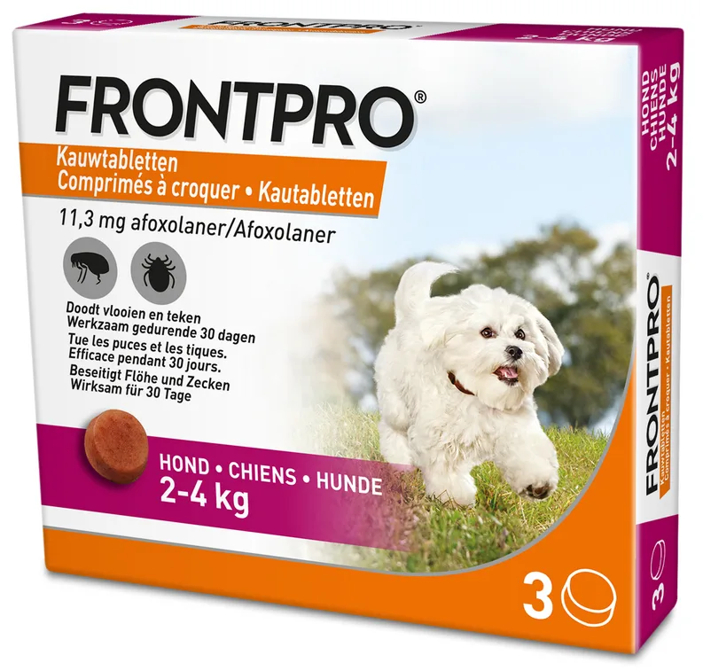 Hond S van Frontpro – productfoto
