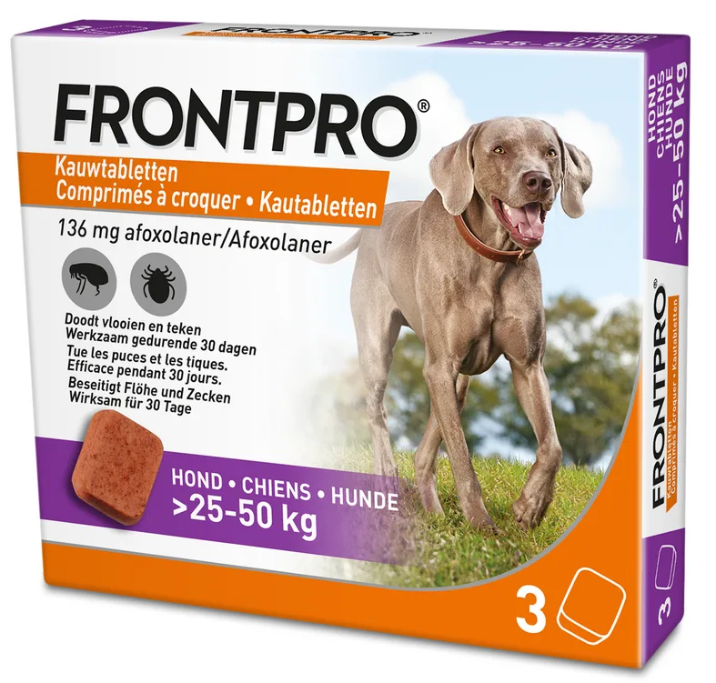 Hond XL by Frontpro – product photo
