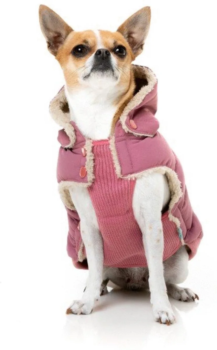 Hondenjas Essential Puffer Delicaat - Hondenkleding - Size 4 van FuzzYard in Roze – productfoto