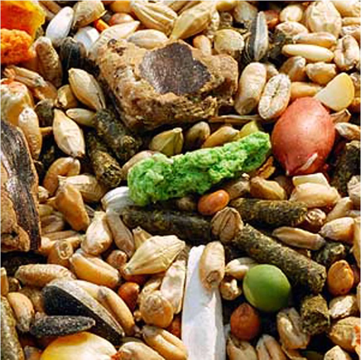 Knaagdiermix (5540) 2KG van Garvo – productfoto