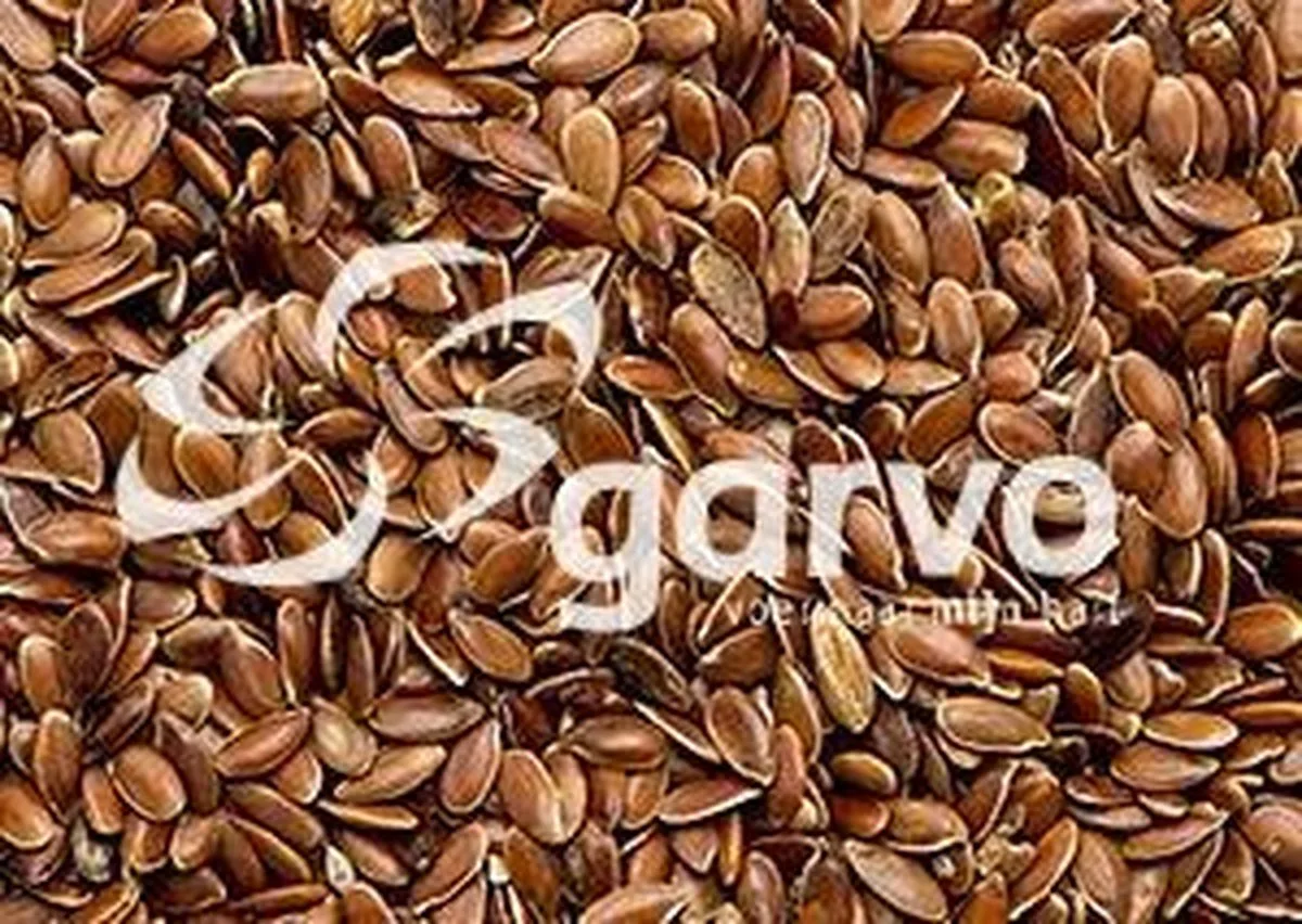 Lijnzaad (5321) 20KG by Garvo – product photo