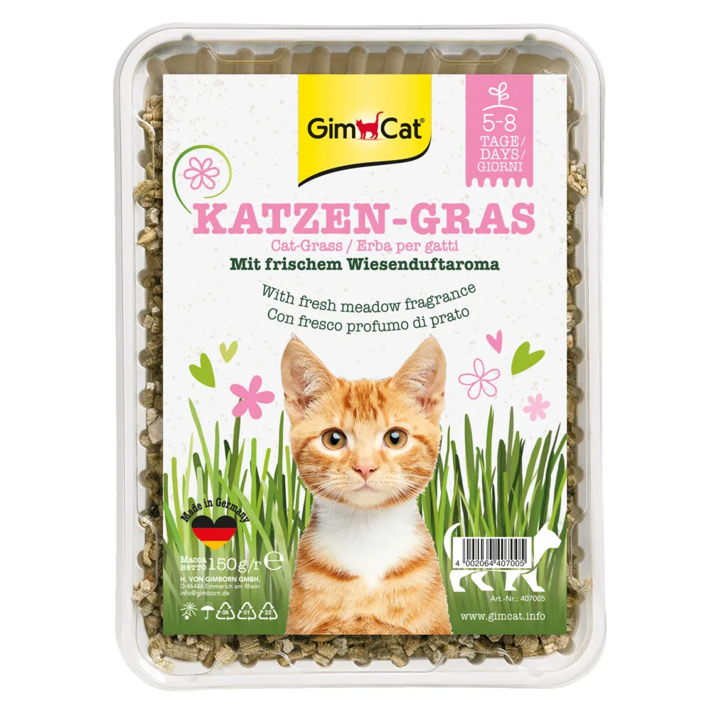 Kattengras 150 gr van GimCat – productfoto
