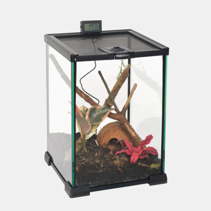 Glazen Terrarium 20x20x30cm - Zwart by Habistat in Transparent – product photo