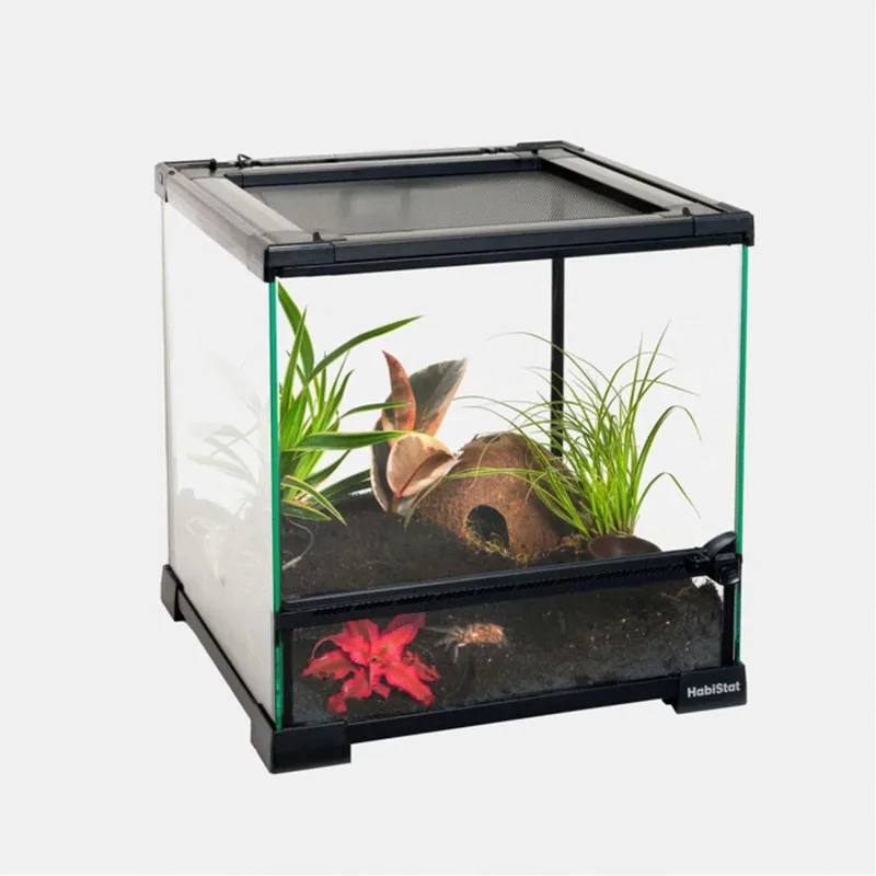 Glazen Terrarium - Terraria - 30x30x32 cm de Habistat en Noir – photo produit