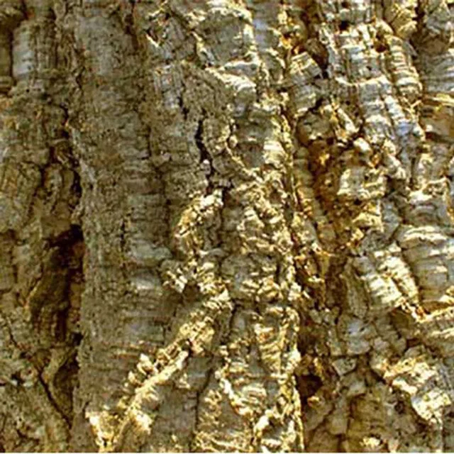 Kurkschors 1KG | Natuurlijke terrariumdecoratie voor reptielen en amfibieën