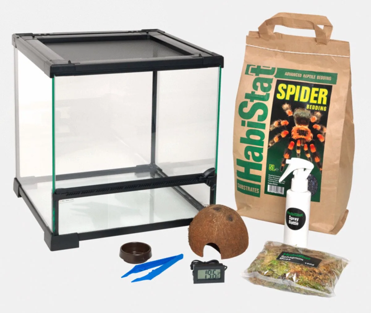 Spinnen Start Set - Spinnen Terrariumset von Habistat in Transparent – Produktfoto