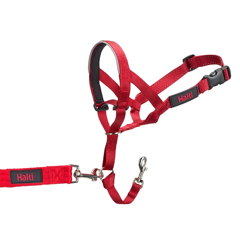 Bozal Halti Headcollar Muilkorf de Halti – photo produit