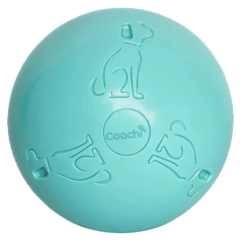 Coachi Puppy & Mini Boomi Ball Cool Hondenspeeltje by Halti – product photo