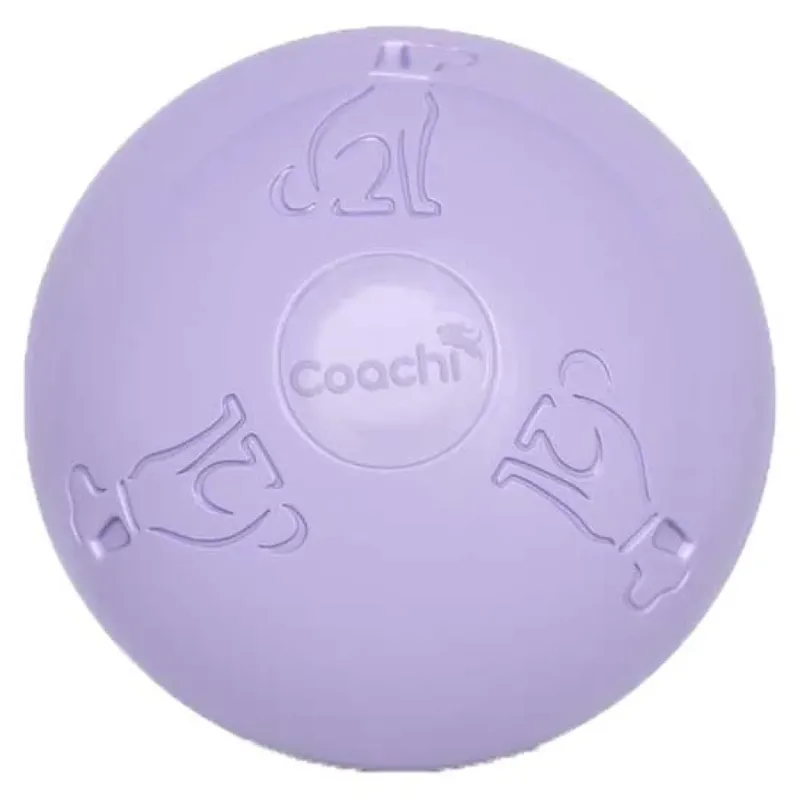 Coachi Puppy & Mini Boomi Ball Ice Hondenspeeltje von Halti – Produktfoto
