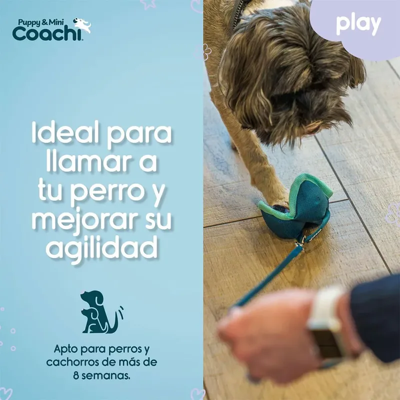 Coachi Puppy & Mini Chase & Treat Hondenspeeltje von Halti – Produktfoto