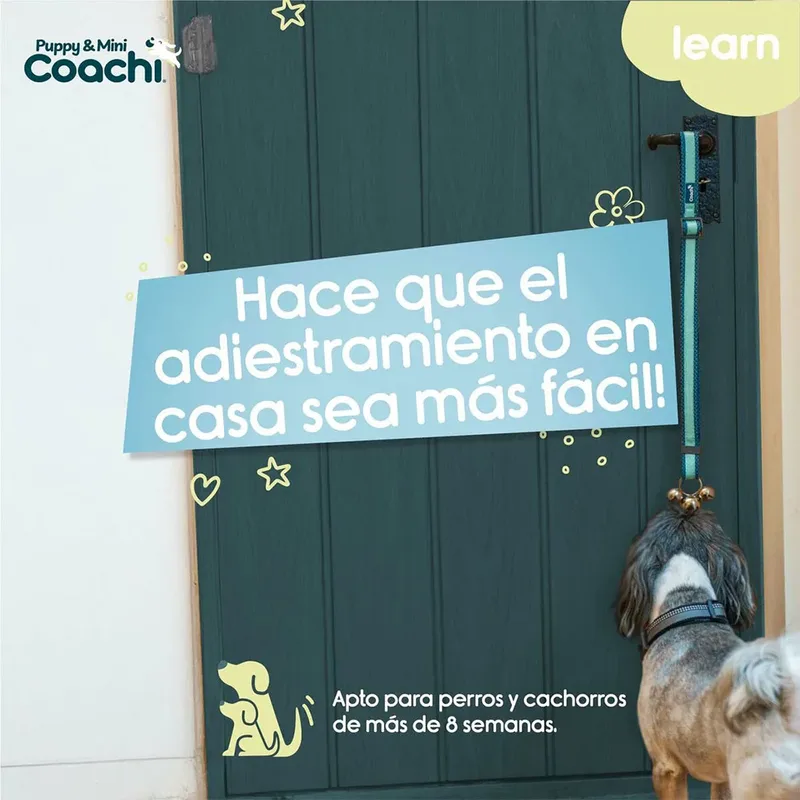 Coachi Puppy & Mini Toilet Bells Hondenriem de Halti – photo produit