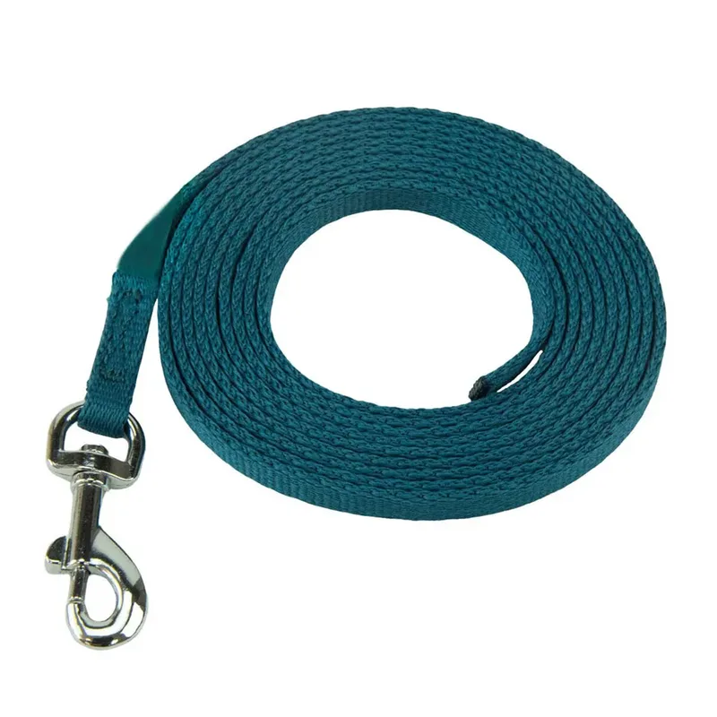 Coachi Puppy & Mini Training Line Hondenriem by Halti – product photo