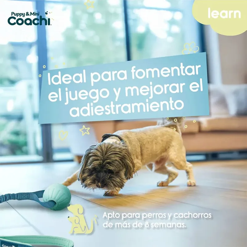 Coachi Puppy & Mini Tuggi Ball Hondenspeeltje by Halti – product photo