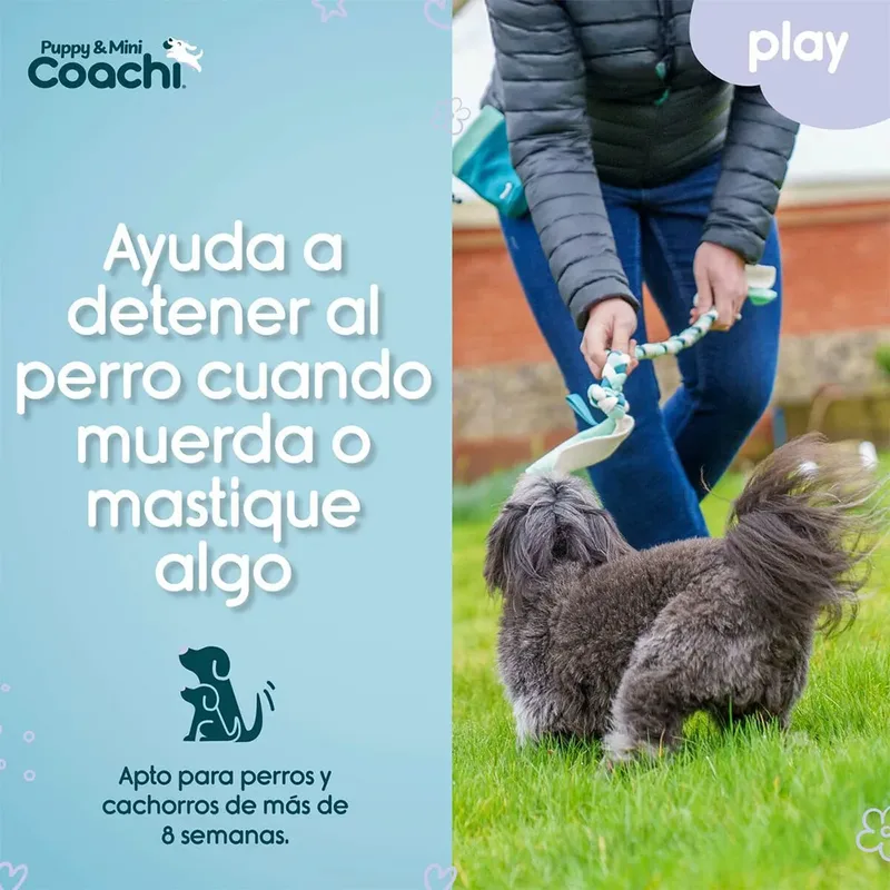 Coachi Puppy & Mini Tuggi Tug Hondenspeeltje von Halti – Produktfoto
