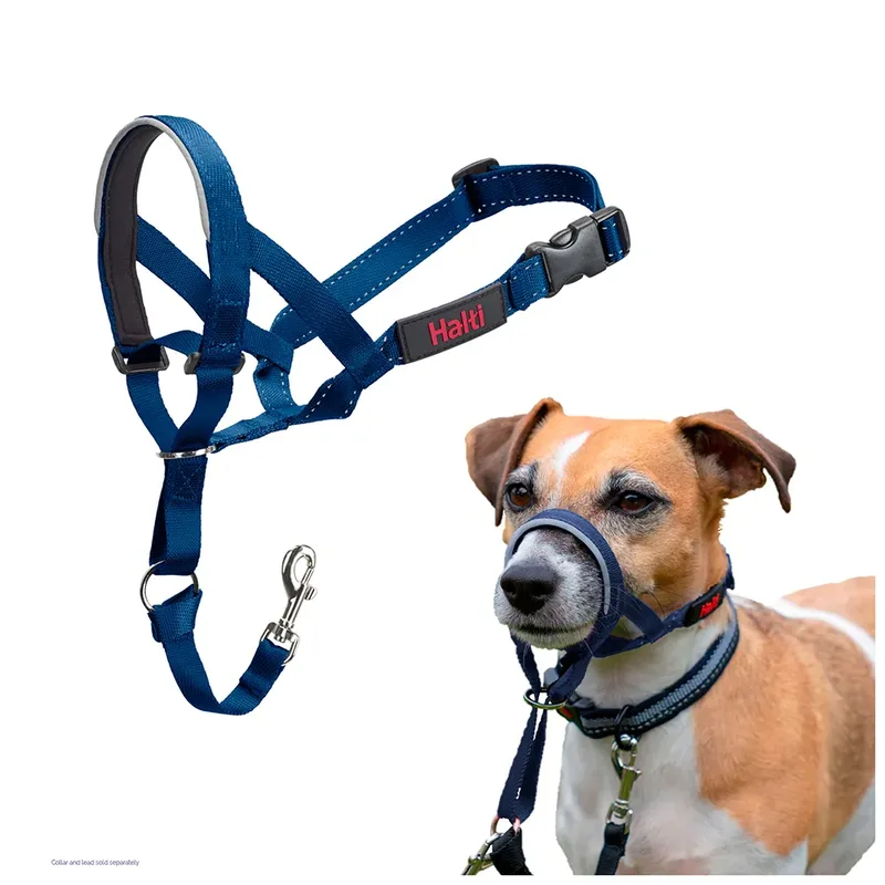 Halti Headcollar Muilkorf von Halti – Produktfoto