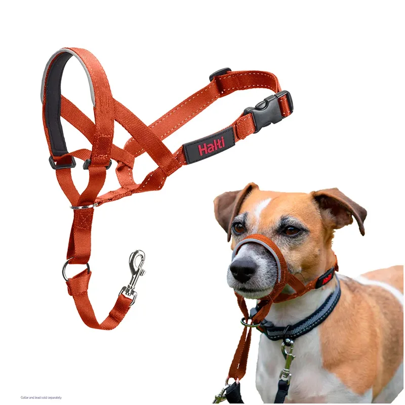 Halti Headcollar Muilkorf by Halti – product photo