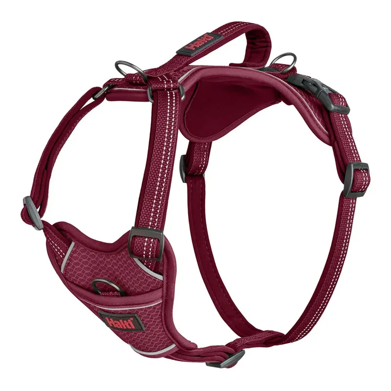 Harnais Pour Chien Halti Anatomy Dog von Halti – Produktfoto