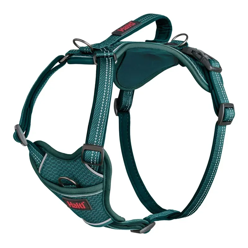 Harnais Pour Chien Halti Anatomy Dog von Halti – Produktfoto