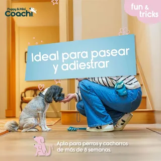 Sac à Friandises Coachi Puppy & Mini Treat Pouch de Halti – photo produit 3 sur 5
