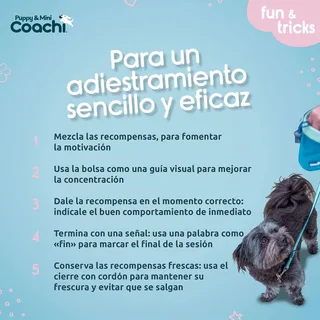 Sac à Friandises Coachi Puppy & Mini Treat Pouch de Halti – photo produit 5 sur 5