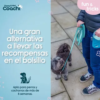 Sac à Friandises Coachi Puppy & Mini Treat Pouch de Halti – photo produit 4 sur 5