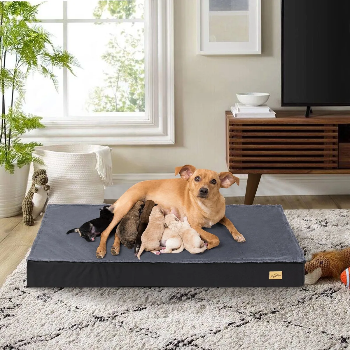 Hondenmand - Voor Grote Honden - Comfortabel Orthopedisch - XL by Happiq – product photo