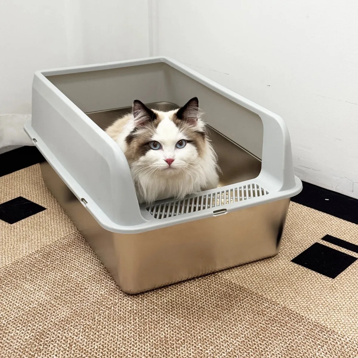 Kattenbak voor Kittens - Open en Makkelijk Schoon te Maken - Roestvrijstaal - Grijs van Happiq – productfoto