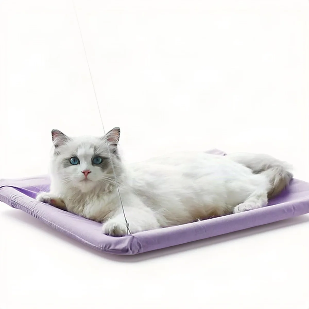 Kattenhangmat - Voor Raam - Wasbaar en Afneembaar - Paars fra Happiq – produktbillede