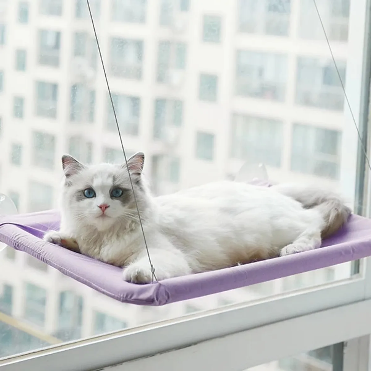 Kattenhangmat voor Ramen - Wasbaar en Afneembaar - Zuignappen - Paars fra Happiq – produktbillede